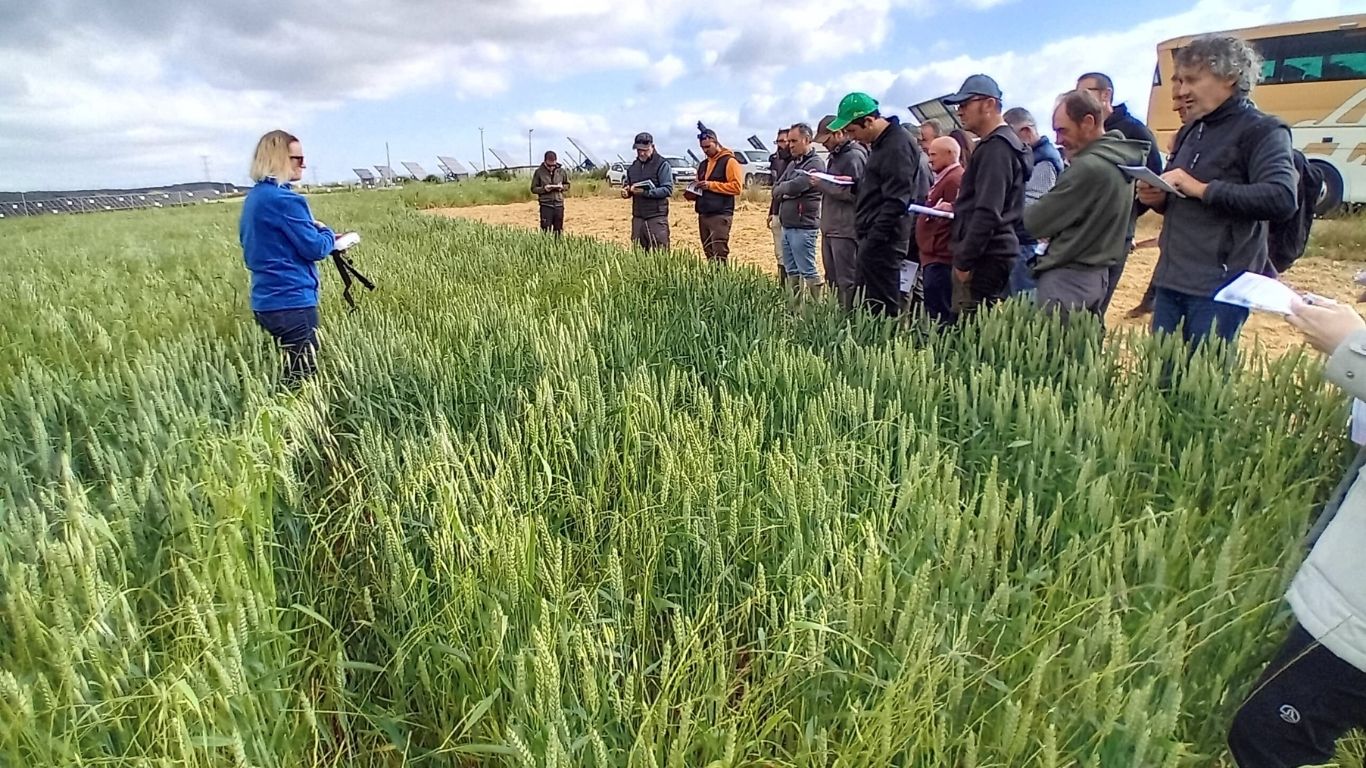 jornada de puertas abiertas olite