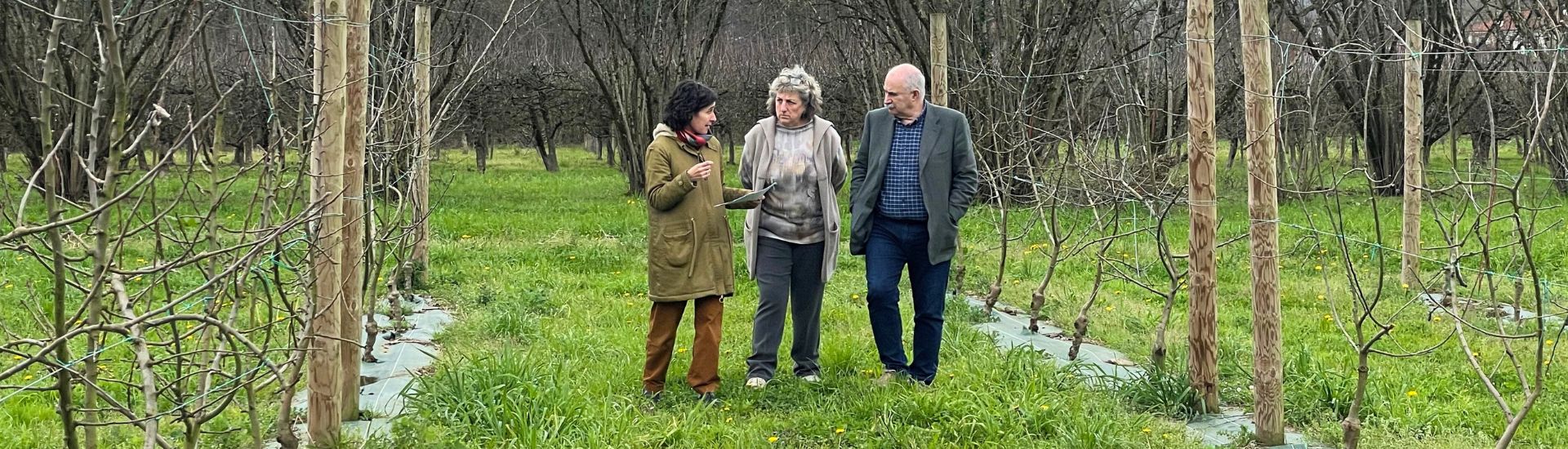 INTIA CEDERNA GARALUR