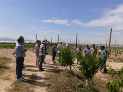 INTIA organizó un viaje técnico sobre fruticultura a Lleida y Zaragoza