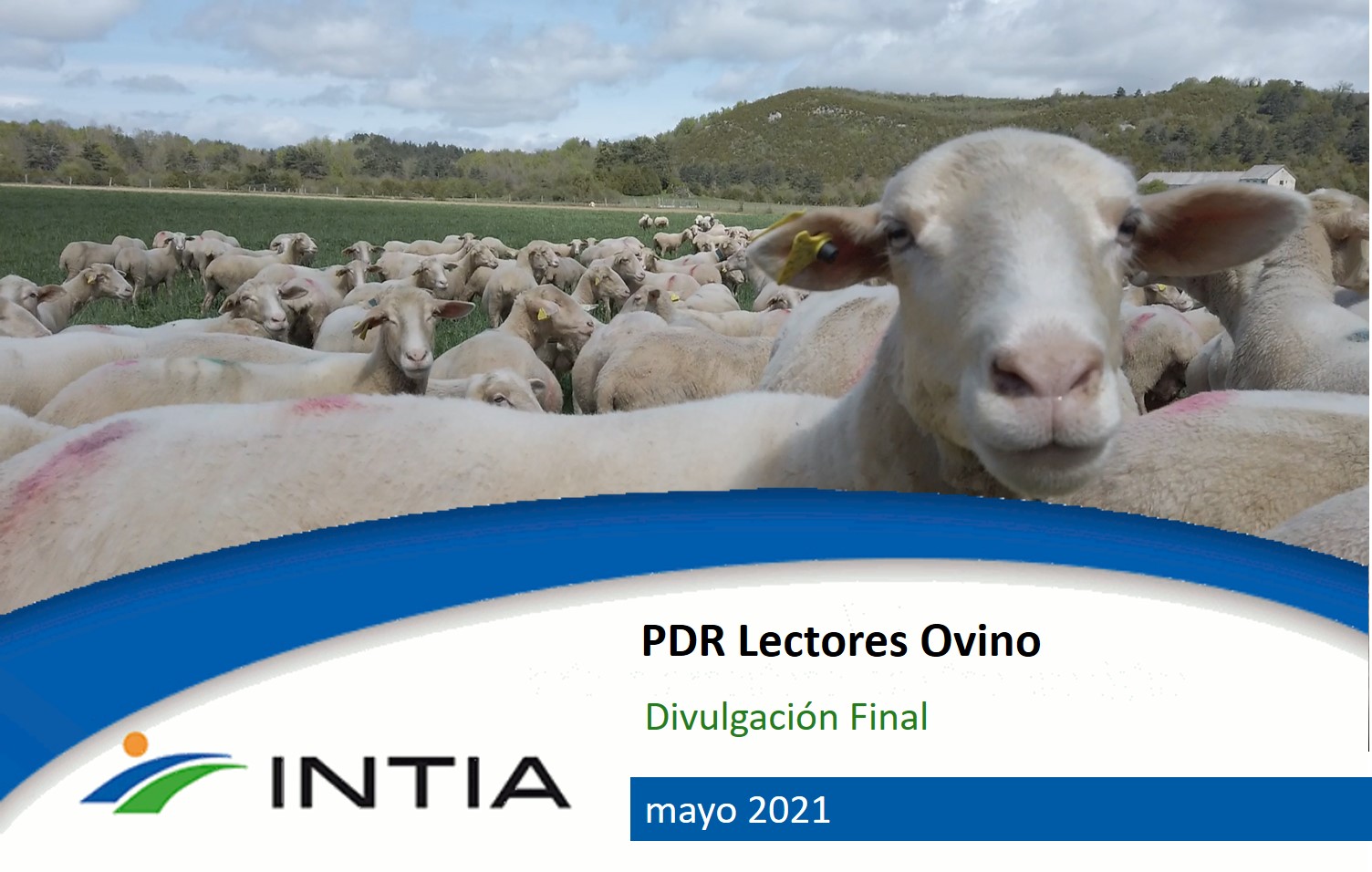 DivulgacionFinalPDRLectoresOvino