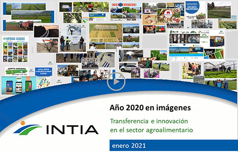 CarátulaINTIAImagenes2020