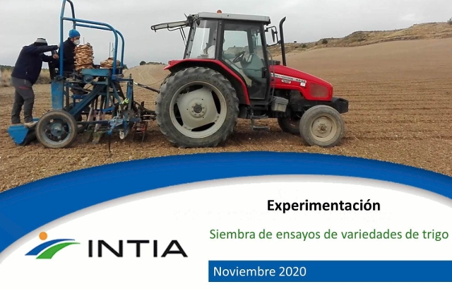 SiembraEnsayosExperimentacion