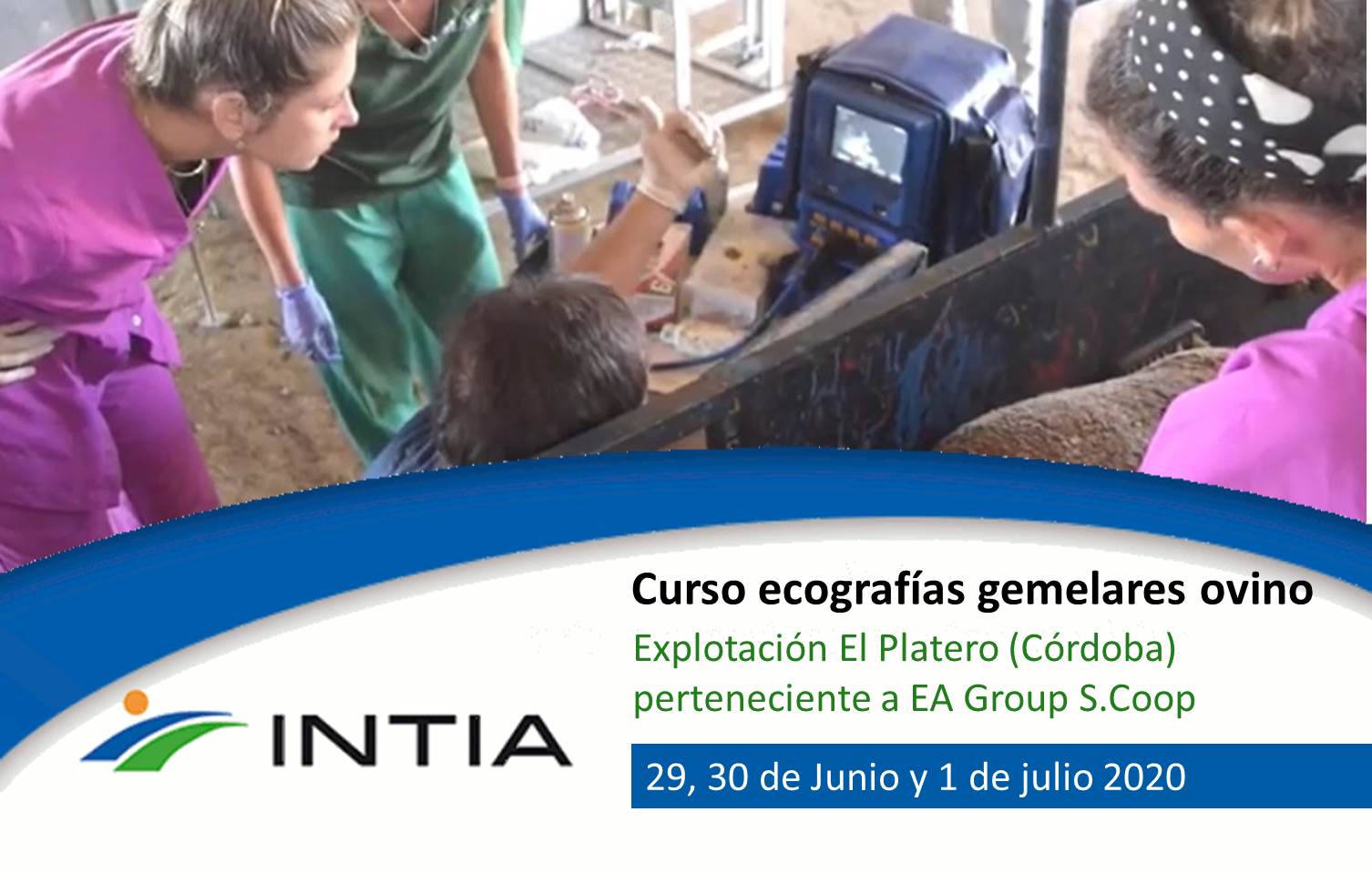 CursoEcografiasOvino