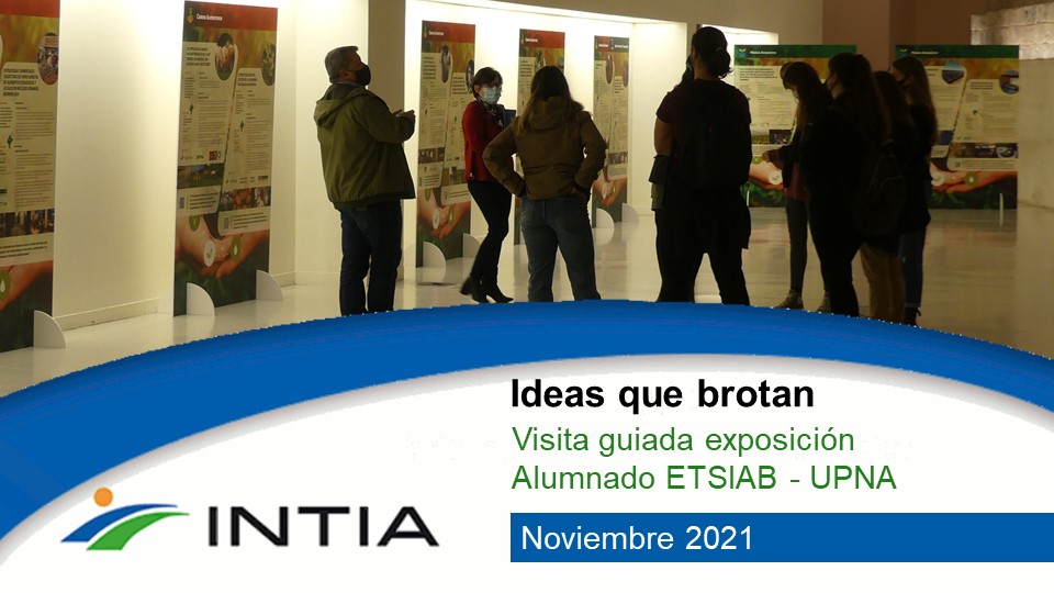 Visita guiada baluarte