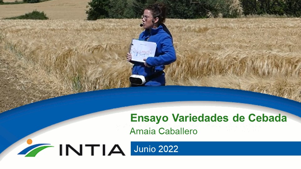 amaia caballero INTIA