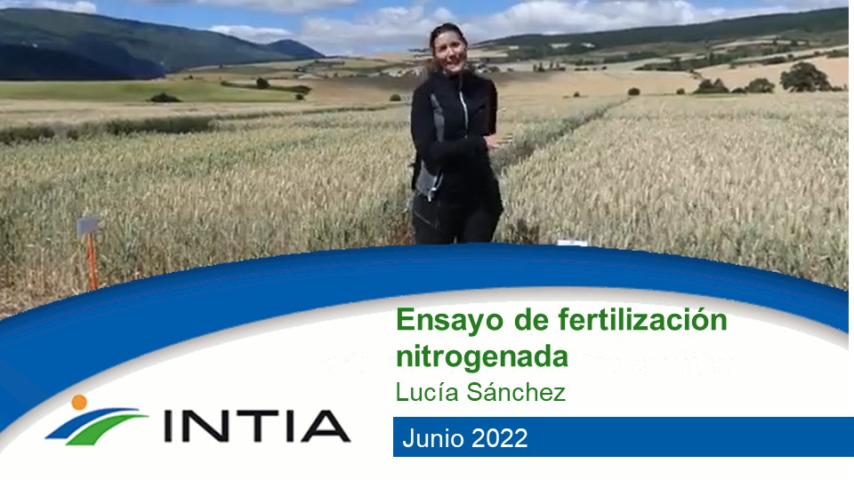fertilización 