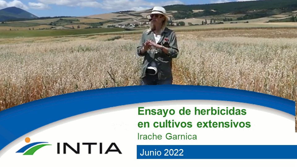 irache garnica INTIA