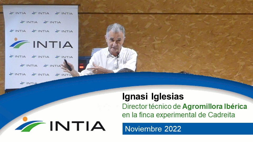 intia ignasi iglesias