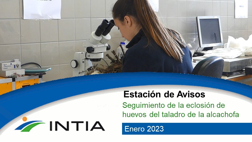 Estación de Avisos | Taladro de alcachofa