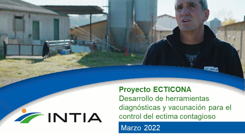 ECTIMA ecticoma intia