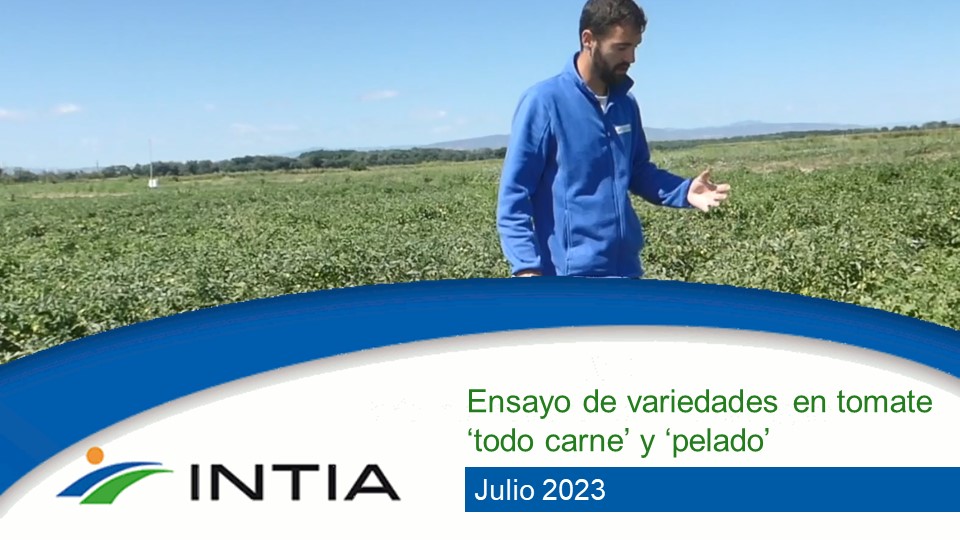 tomate todo carne y pelado