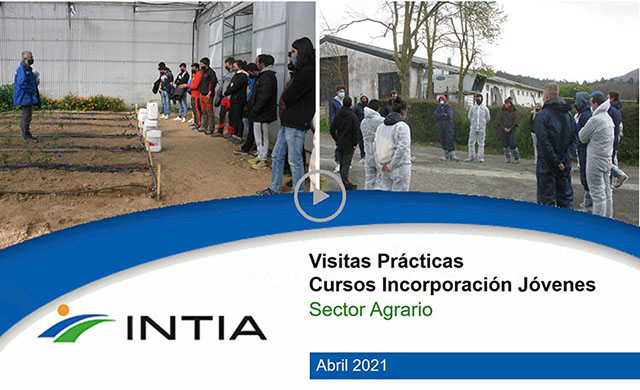 VideoPracticasCursoIncorporacionJovenes