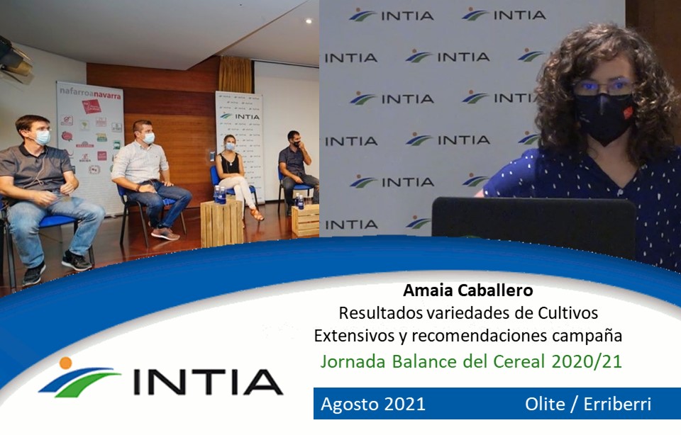 Resultados Variedades de Cultivos Extensivos 20/21 y recomendaciones. Amaia Caballero.