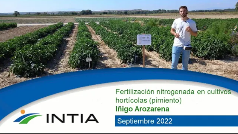 iñigo arozarena nitrógeno