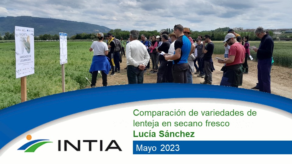 lenteja INTIA