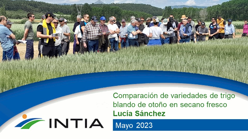 INTIA trigo