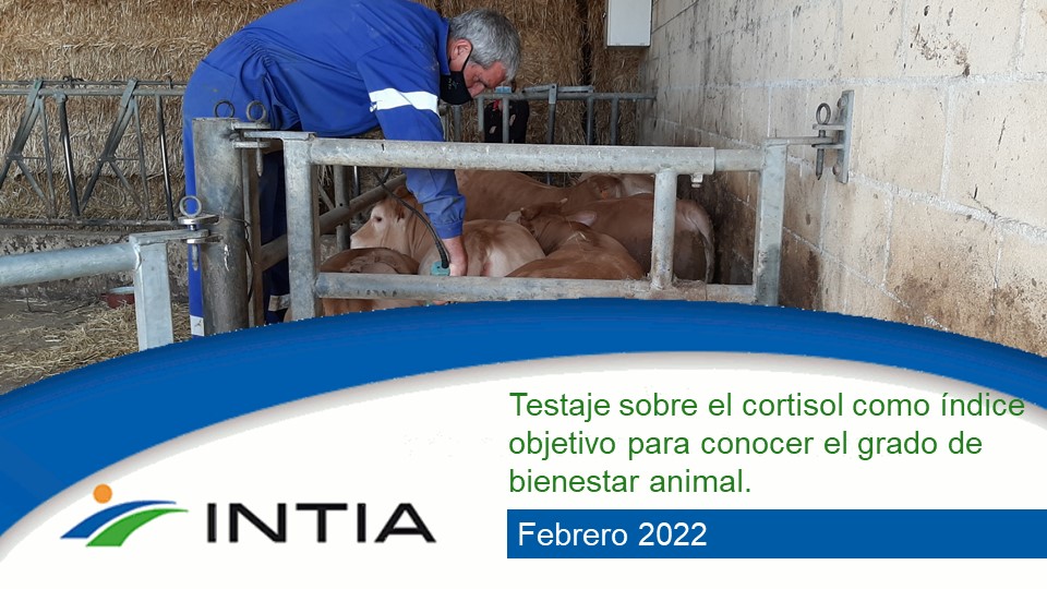 Cortisol INTIA