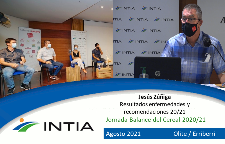 Resultados de enfermedades en Cultivos Extensivos de Invierno y recomendaciones. Jesús Zúñiga 