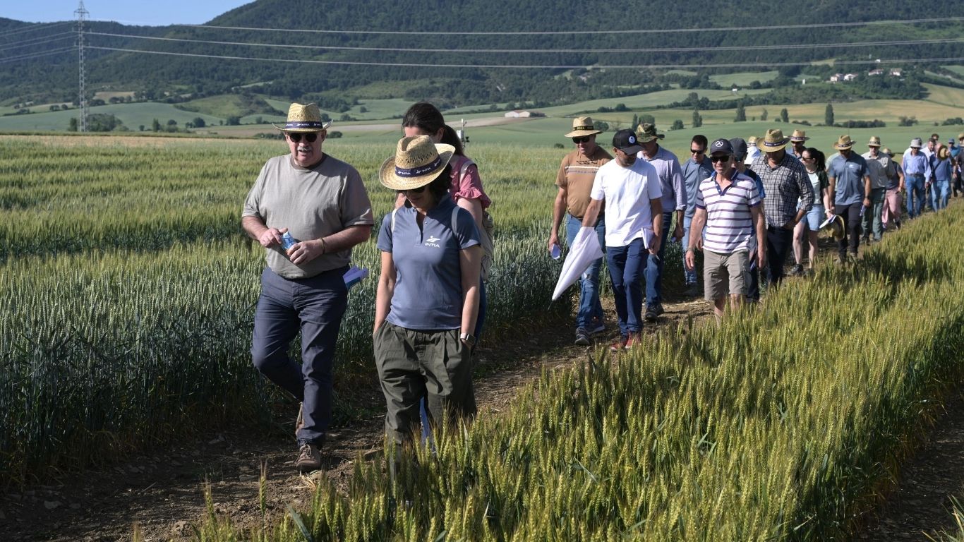 Jornada de puertas abiertas Mendioroz Intia