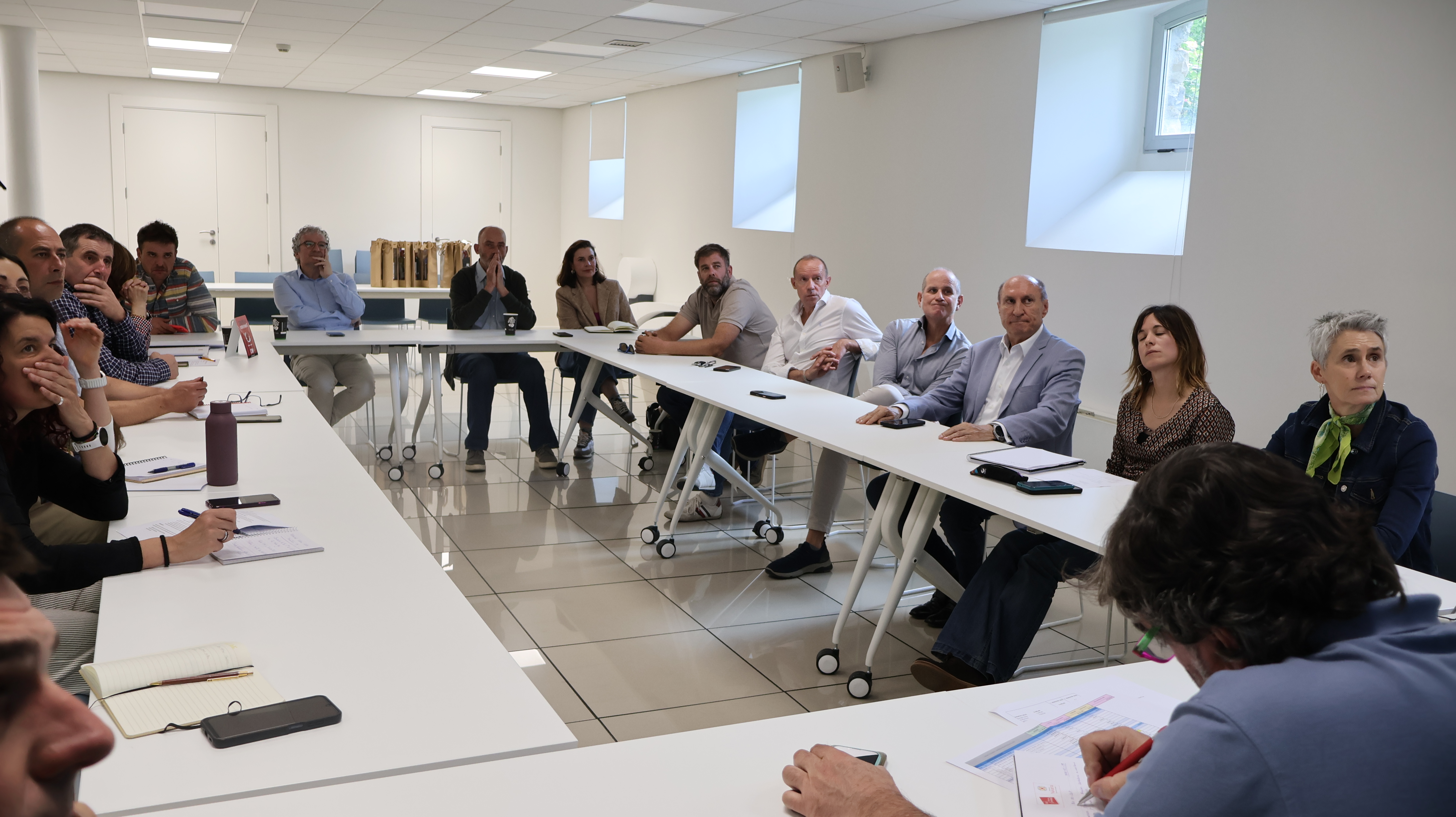 Reunión figuras de calidad 