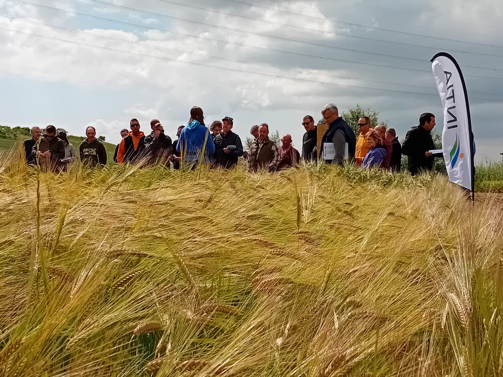 jornada de puertas abiertas