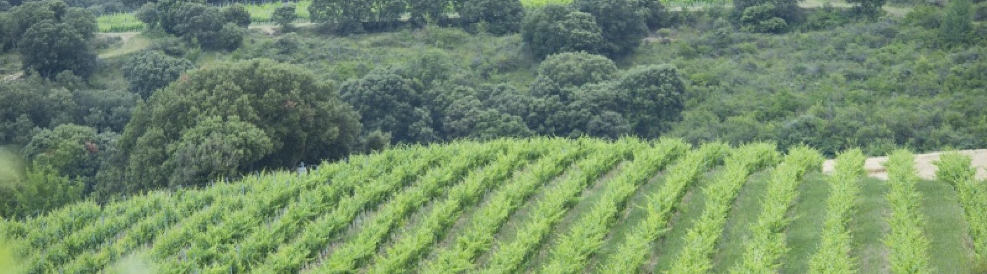 Holistic Agroecology Approaches Webinar