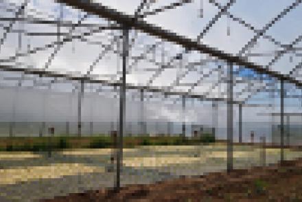 Visita del alumnado del título propio de Agroecología de la UPNA a la finca experimental de INTIA en Sartaguda