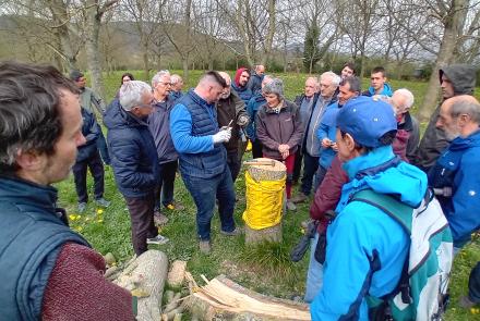 Éxito del curso de Poda de renovación e injertos sobre nogales en Hiriberri 