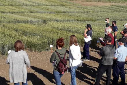 Demostración al sector de los ensayos que se realizan desde INTIA