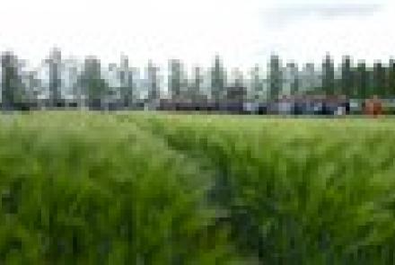 Más de 180 asistentes en las visitas a los ensayos de INTIA sobre cultivos extensivos