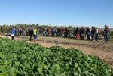 Control biológico de plagas y uso de productos naturales contra enfermedades en una jornada sobre hortícolas de invierno organizada por INTIA en Sartaguda