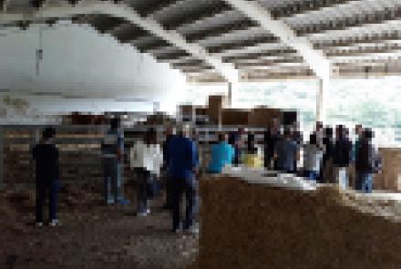 INTIA organizó una jornada para dar a conocer las experiencias llevadas a cabo en el proyecto de investigación “Betizu”