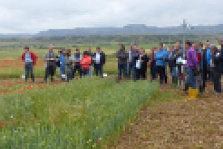 Treinta personas en la jornada sobre cultivos extensivos en producción ecológica organizada por INTIA