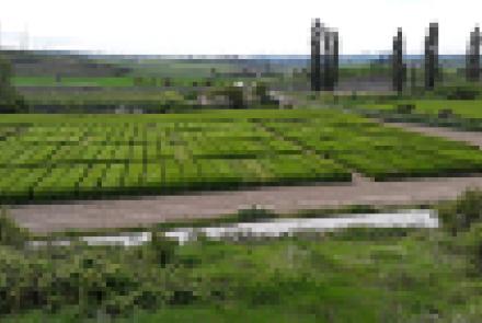 Proyectos de I+D de INTIA presentados en la Jornada de Balance de la campaña de cereales