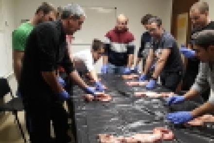 INTIA ha formado a profesionales de la ganadería en inseminación artificial de vacuno 