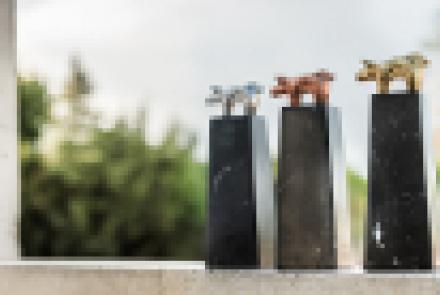 Cuatro explotaciones socias de INTIA reciben premios a la excelencia en la producción porcina de los Porc d’Or 2018