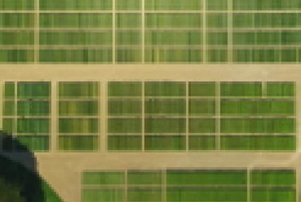 INTIA participa en cuatro nuevos proyectos europeos de investigación e innovación en el sector rural