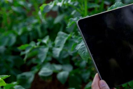 agricultura de precision