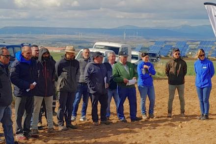 Cultivos extensivos de la Zona árida