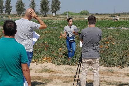 agricultura hortícolas
