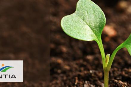 agricultura regenerativa