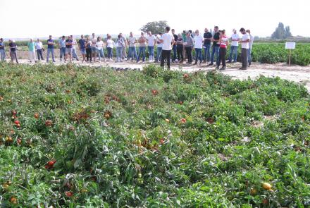 Especialistas en Horticultura