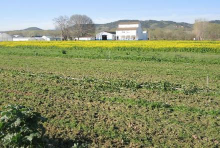 Jornada de primavera de puertas abiertas sobre hortícolas en ecológico en Sartaguda