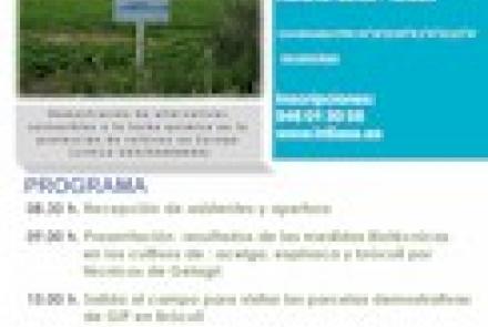 Proyecto Life AGROintegra: Próxima jornada de Resultados en hortícolas - Acelga, Espinaca y Bróculi