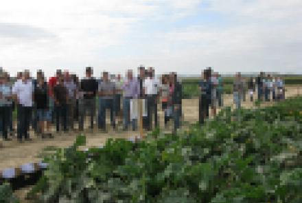 INTIA presenta los ensayos de cultivos hortícolas de verano