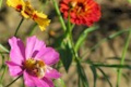 INTIA participó en Segovia en el III Congreso de Horticultura al Aire Libre