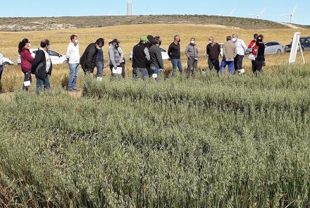 CultivosExtensivosSecano