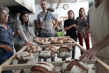 Jornada a la elaboración de pan