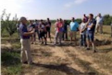 Fruticultores navarros visitan la finca de demostración de INTIA en Sartaguda