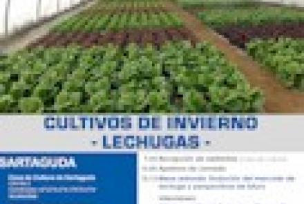 Próximas Jornadas INTIA: Sartaguda: “Jornada demostrativa en Invernaderos. Cultivos de invierno – lechugas”
